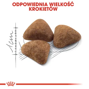 ROYAL CANIN  Indoor 27 4kg karma sucha dla kotów dorosłych, przebywających wyłącznie w domu + niespodzianka dla kota GRATIS! - Sucha karma dla kotów - miniaturka - grafika 6