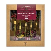 Herbata - DARY NATURY Herbatka liofilizowana Babciny Ogród EKO, 5szt. - >>> DARMOWA od 149zł <<<- - miniaturka - grafika 1