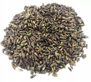 BRZOZA PĄCZKI BRZOZY GEMMOTERAPIA 1 KG NATURALNY - Przyprawy i zioła sypkie - miniaturka - grafika 1