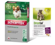 Artykuły przeciw pasożytom - Bayer Advantix dla psów do 4kg 4 pipety x 0,4ml) + Drontal Dog flavour 2tabl kostki) 34080-uniw - miniaturka - grafika 1