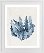 Obrazy i zdjęcia - Obraz W Ramie 50X70 1529601-5156 - miniaturka - grafika 1