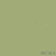 Tapety - Superfresco Easy Zielona klasyczna tapeta bez wzoru jednolita 100038_opcje - miniaturka - grafika 1