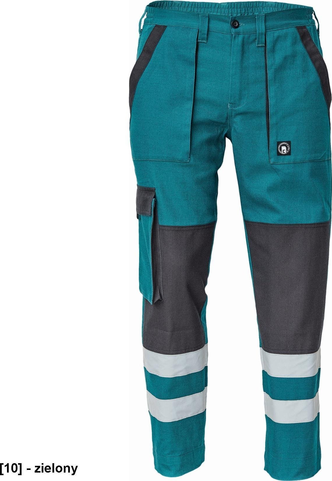 CERVA MAX NEO RFLX - spodnie - zielony 52