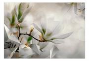 Fototapety - Fototapeta - Subtelne magnolie - drugi wariant (rozmiar 100x70) - miniaturka - grafika 1