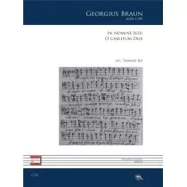 Sub Lupa In Nomine Jesu. Georgus Braun Georgius Braun - Książki o kulturze i sztuce - miniaturka - grafika 1