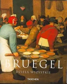 Książki o kulturze i sztuce - Bruegel - miniaturka - grafika 1