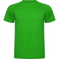 Koszulki męskie - Koszulka Sportowa Męska T-shirt CONTROL DRY ROLY 0425 ZIELONY Fern M - miniaturka - grafika 1