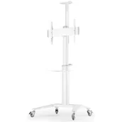 Uchwyty do telewizora - Stojak podłogowy GEMBIRD do TV 37-70 TVS-70T-02-W Biały - miniaturka - grafika 1