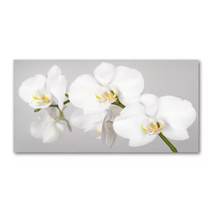 Foto obraz szkło hartowane Orchidea - Obrazy i zdjęcia na płótnie - miniaturka - grafika 1