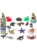 Albumy krajoznawcze - Zwierzęta morskie + akcesoria 12szt - miniaturka - grafika 1