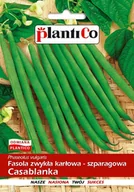 Nasiona i cebule - NASIONA Fasola Szparagowa Karłowa Casablanka 40g PLANTICO 407411 - miniaturka - grafika 1