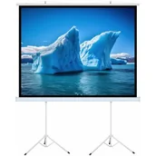 Ekrany projekcyjne - ART MANUAL SCREEN ON A TRIPOD 140inch 254x254cm TA-140 1:1 double tripod - miniaturka - grafika 1