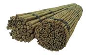 Ogrodzenia - Tyczki bambusowe 150 cm 24/26 mm /50 szt/ SAD - miniaturka - grafika 1