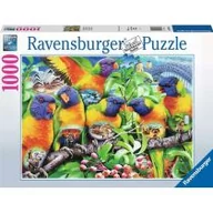 Puzzle - Ravensburger Puzzle 2D 1000 elementów Kraina Lorikeet GXP-811882 - miniaturka - grafika 1