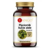Suplementy naturalne - YANGO Yango Pięciornik kurze ziele 90 k YA0237 - miniaturka - grafika 1