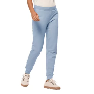 Spodnie damskie - Damskie spodnie dresowe ESSENTIAL SWEAT PANTS W blue fog - S - grafika 1