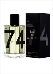 Iceberg Eau de Iceberg Pour Homme Woda toaletowa 100ml - Wody i perfumy męskie - miniaturka - grafika 1