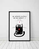 Obrazy i zdjęcia na płótnie - Plakat z kotem. Na jednym zwykle się nie kończy - miniaturka - grafika 1