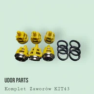 Akcesoria do pomp - Komplet Zaworów "EBCW" KIT 43 UDOR - miniaturka - grafika 1