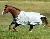 Derki dla konia - Bucas Derka padokowa 0g POWER TURNOUT LIGHT stare pasy - silver - miniaturka - grafika 1