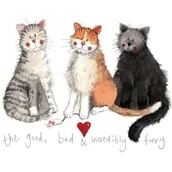 Magnesy - Magnes FM30 3 koty - Alex Clark - miniaturka - grafika 1