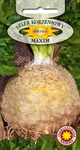 SELER KORZENIOWY MAXIM 1g - Nasiona i cebule - miniaturka - grafika 1