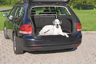Trixie Mata samochodowa 1,45x1,6m 95x75cm 1321 - Sprzęt podróżny i transportery dla psów - miniaturka - grafika 1