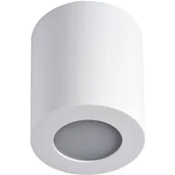 Lampy sufitowe - Kanlux Sani 29241 reflektor 1x10W PAR16 biały - miniaturka - grafika 1