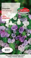 Nasiona i cebule - Nasiona Żmijowiec mieszanka - Torseed - miniaturka - grafika 1