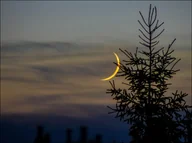 Plakaty - Galeria Plakatu, Księżyc Vi, 50x40 cm - miniaturka - grafika 1