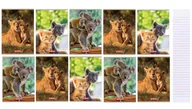 Zeszyty szkolne - Herlitz Zeszyt A5/16K linia podwójna Animals (10szt) - - miniaturka - grafika 1