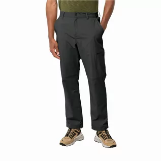 Spodnie sportowe męskie - Męskie spodnie outdoor Jack Wolfskin WANDERTHIRST PANTS M granite black - 48 - grafika 1