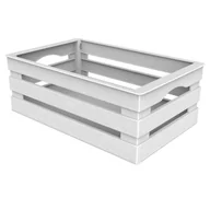 Pudła i pojemniki do przechowywania - Pojemnik koszyk skrzynka plastikowa TINA 25x16 cm - miniaturka - grafika 1
