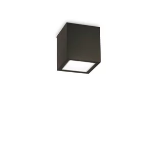 Ideal Lux Lampa sufitowa zewnętrzna TECHO PL1 SMALL czarna 251578 251578/IL - Lampy ogrodowe - miniaturka - grafika 1