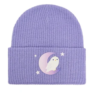 Czapka Harry Potter CEO-ACCCS-AW25-323WBHP Fioletowy - Czapki dla dzieci - miniaturka - grafika 1