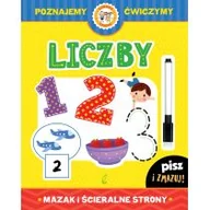 Książki edukacyjne - Wilga GW Foksal Liczby, Mazak i ścieralne strony - Opracowanie zbiorowe - miniaturka - grafika 1