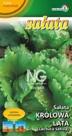 Nasiona i cebule - Sałata lodowa Królowa Lata 1g / L / - miniaturka - grafika 1