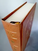 Notesy i bloczki - Stylowy Notatnik Dziennik DIARIO 350 Czystych Stron A5 Szyty Miodowy Złocony - miniaturka - grafika 1