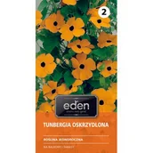 Nasiona i cebule - Tunbergia oskrzydlona mix 0,5 g Eden - miniaturka - grafika 1