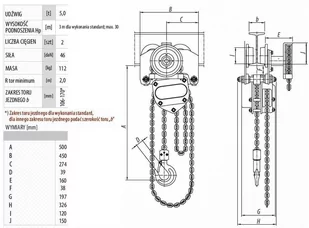 Wciągnik łańcuchowy przejezdny (udźwig: 5,0 T, wysokość podnoszenia: 4m, zakres toru jeznego: 113-170 mm) 95881685 - Wciągarki - miniaturka - grafika 2