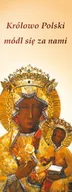 Ikony i obrazy sakralne - Baner religijny Matka Boża Częstochowska "Królowo Polski módl się za nami" 75x200cm - miniaturka - grafika 1