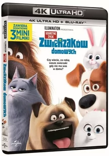 FILMOSTRADA Sekretne życie zwierząt domowych (4K Ultra HD) - Filmy animowane Blu-Ray - miniaturka - grafika 1