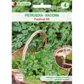 Nasiona i cebule - Nasiona na taśmie - pietruszka naciowa o liściach gładkich Festival 68 W.Legutko - miniaturka - grafika 1