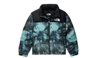 Kurtki męskie - The North Face 1996 Retro Nuptse Jacket Wasabi Ice Print - miniaturka - grafika 1
