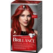 Farby do włosów i szampony koloryzujące - Schwarzkopf Brillance Hair Color 842 Cashmere Red - miniaturka - grafika 1