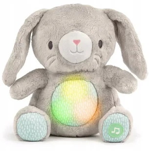 INGENUITY TOYS soothing plush toy Heart to Hugs, 12920 - Maskotki i pluszaki - miniaturka - grafika 1