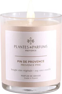 Świece - PLANTES&PARFUMS PROVENCE Świeca zapachowa perfumowana - Provence Pine - Prowansalska Sosna 070222 - grafika 1