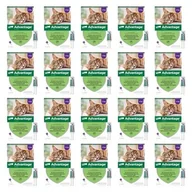 Artykuły przeciw pasożytom - Krople na pchły BAYER Advantage Duże koty 80 x 0.8 ml - miniaturka - grafika 1