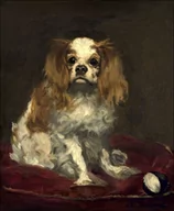 Plakaty - Galeria Plakatu, A King Charles Spaniel, Edouard Manet, 50x70 cm - miniaturka - grafika 1