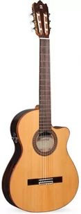 Alhambra Iberia Ziricote gitara klasyczna 4/4 - Gitary klasyczne - miniaturka - grafika 1